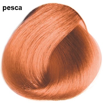 TONER PESCA 100 ml